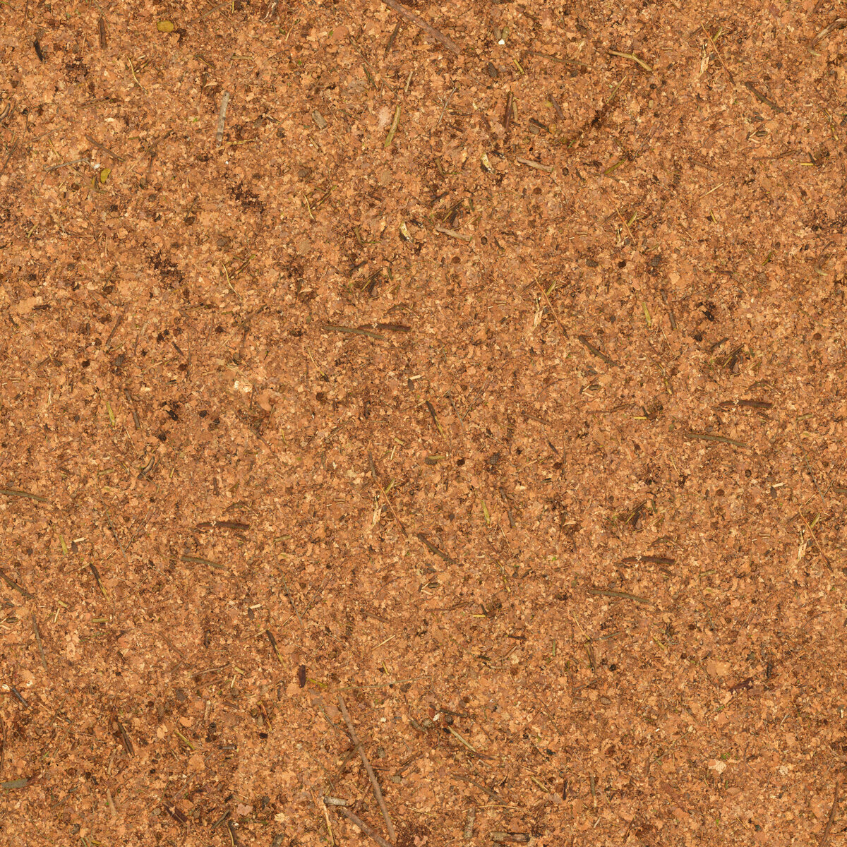 Ground 077 Texture