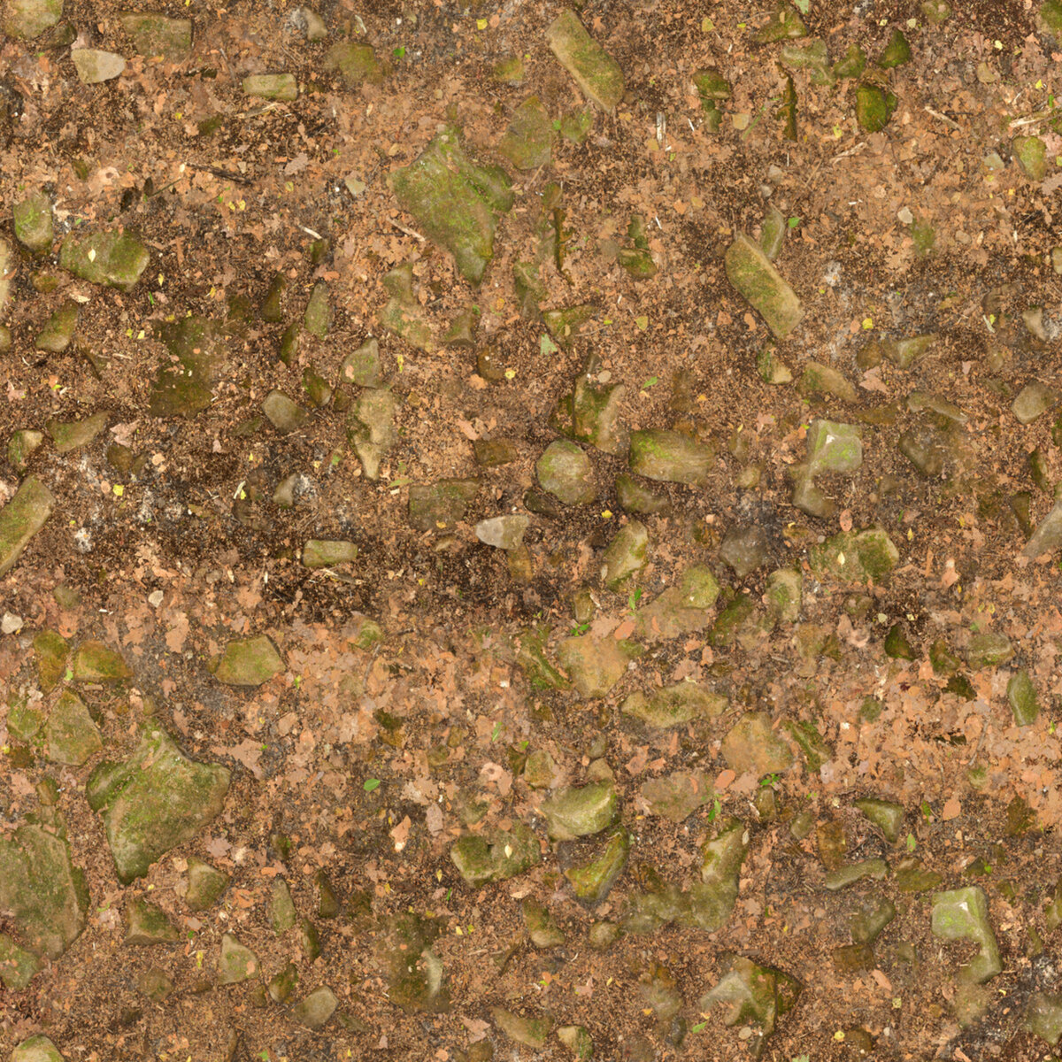 Ground 078 Texture