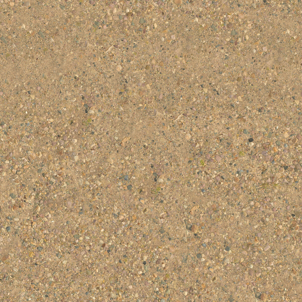 Ground 079 S Texture