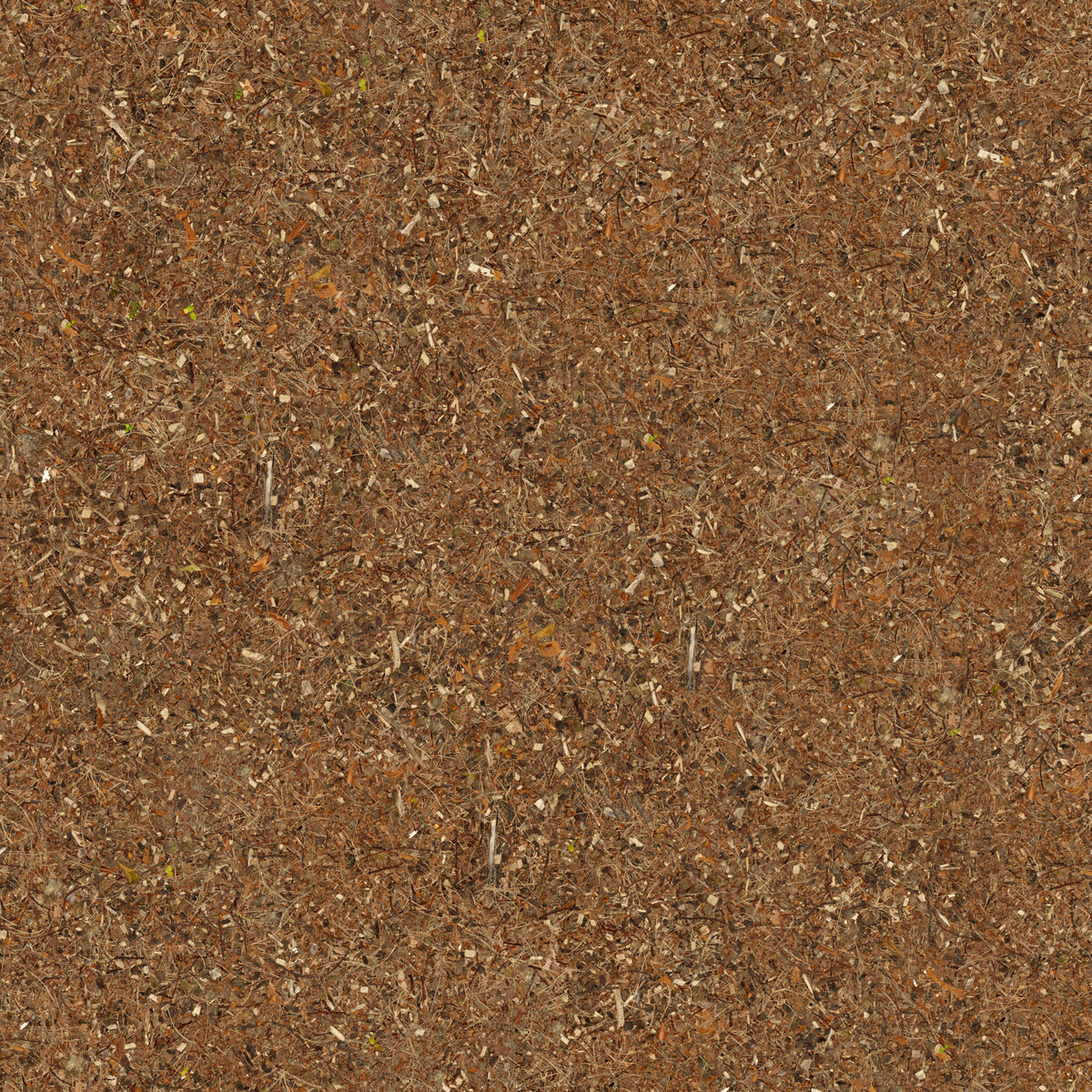 Ground 082 L Texture