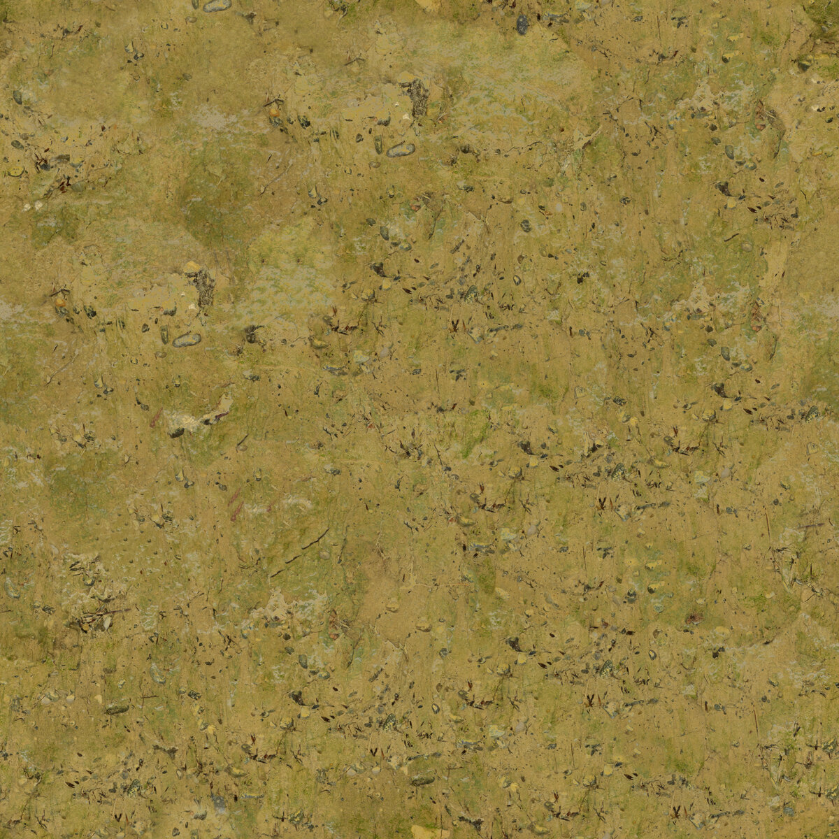 Ground 083 Texture