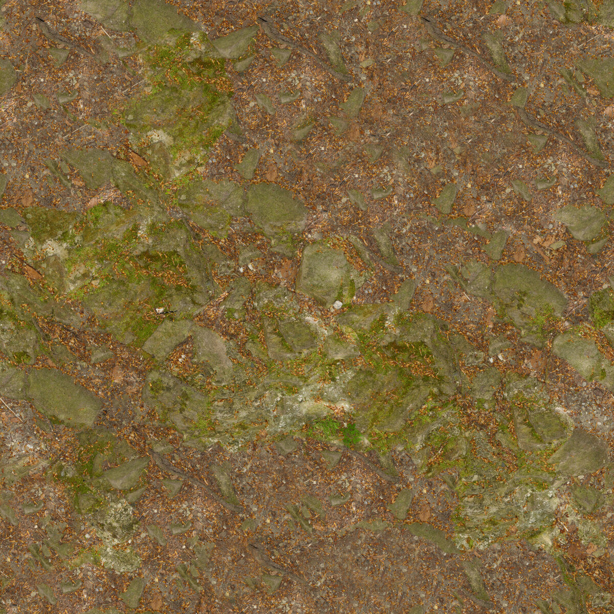 Ground 086 Texture