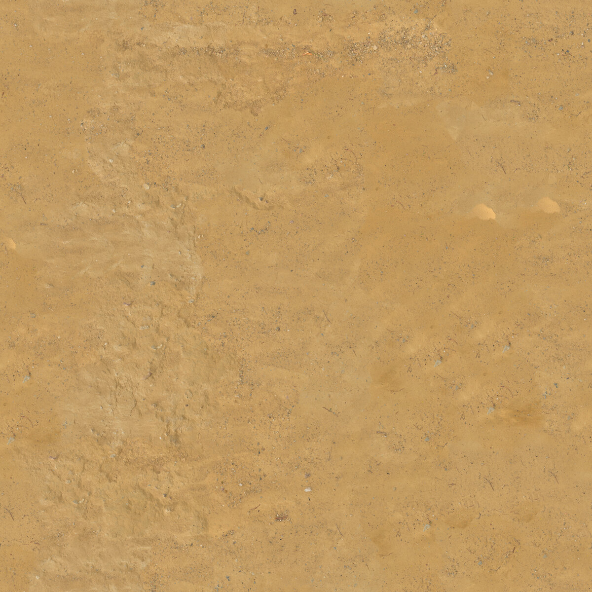 Ground 089 Texture
