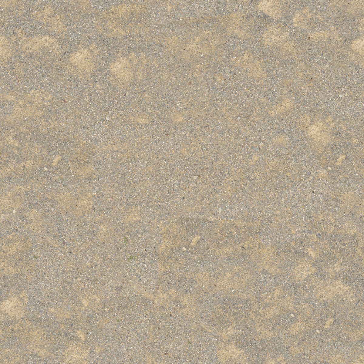 Ground 091 Texture