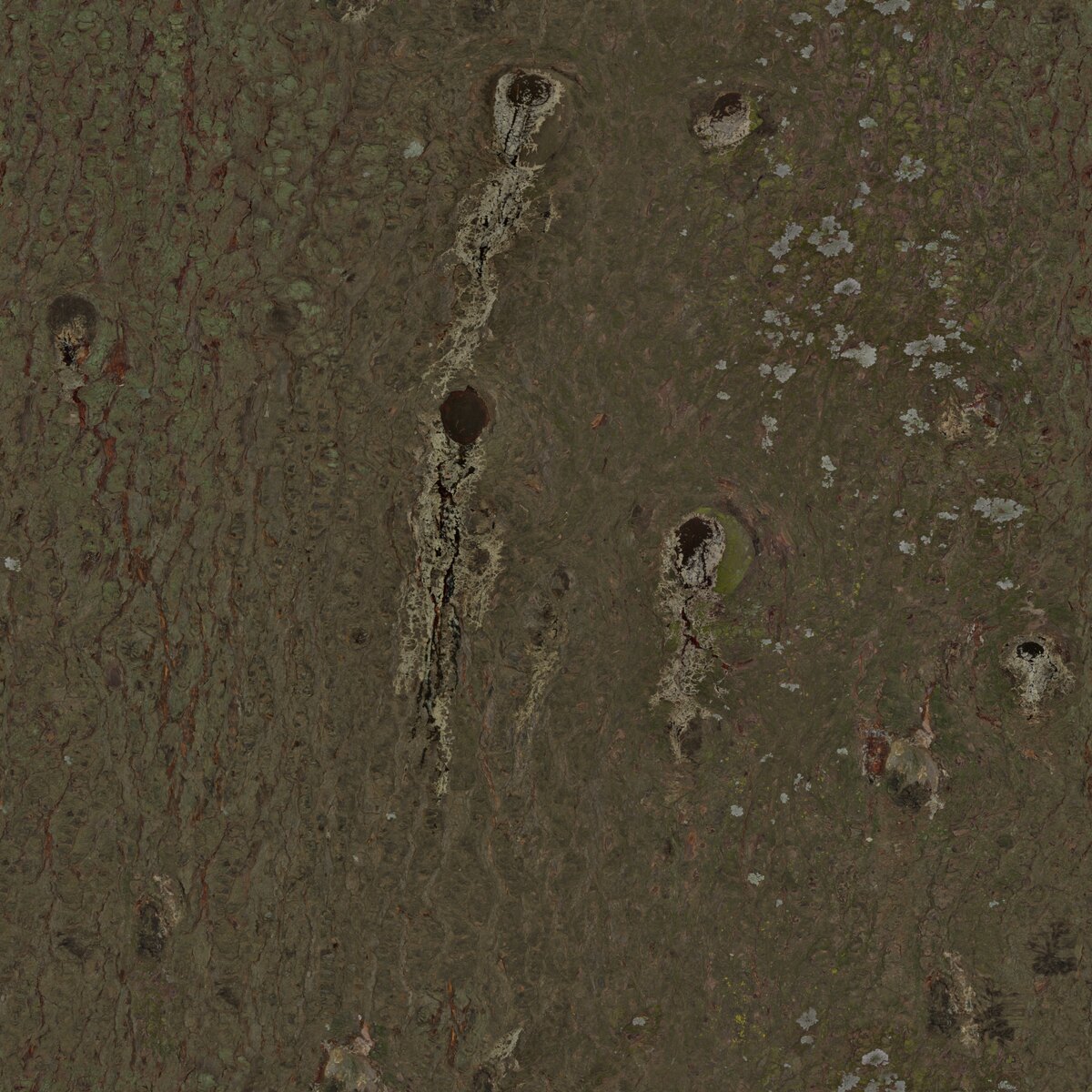 Knotted Pine Bark Texture