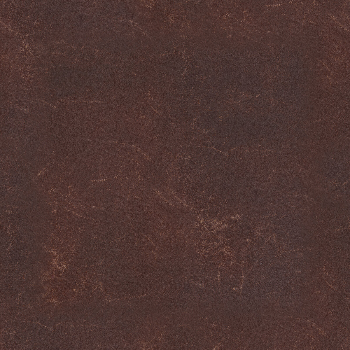 Leather 014 Texture