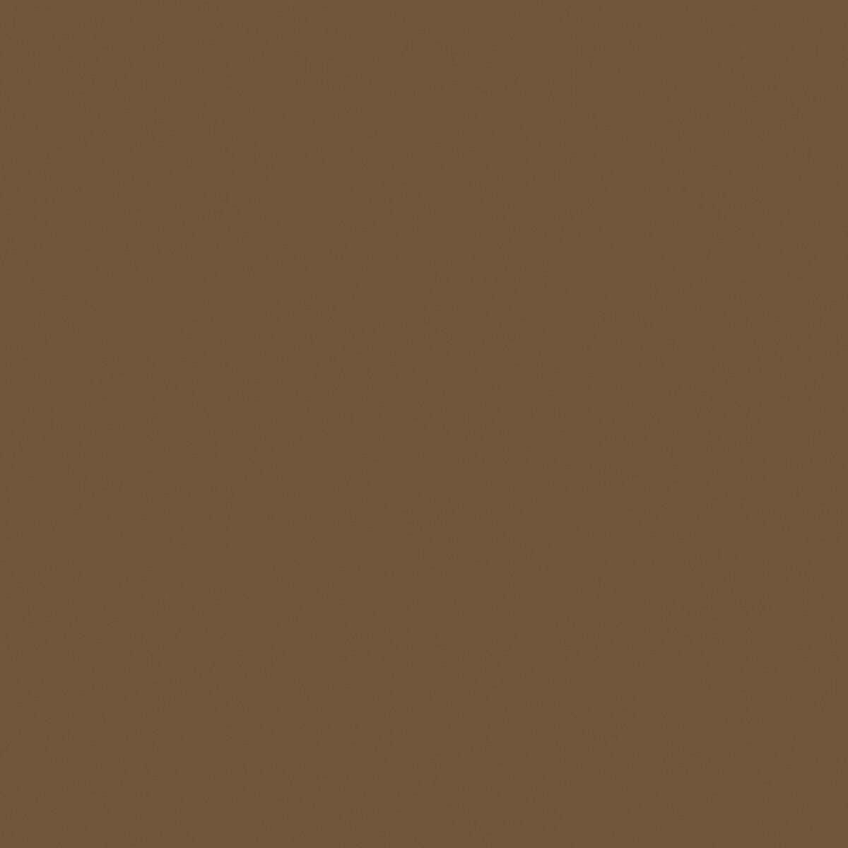 Leather 017 Texture