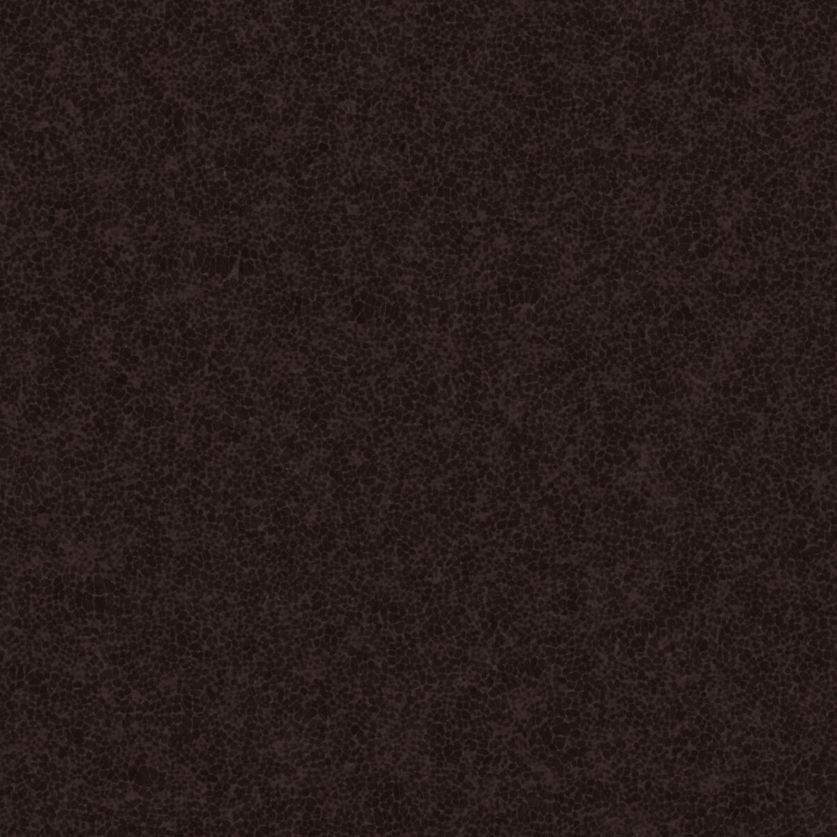 Leather 021 Texture
