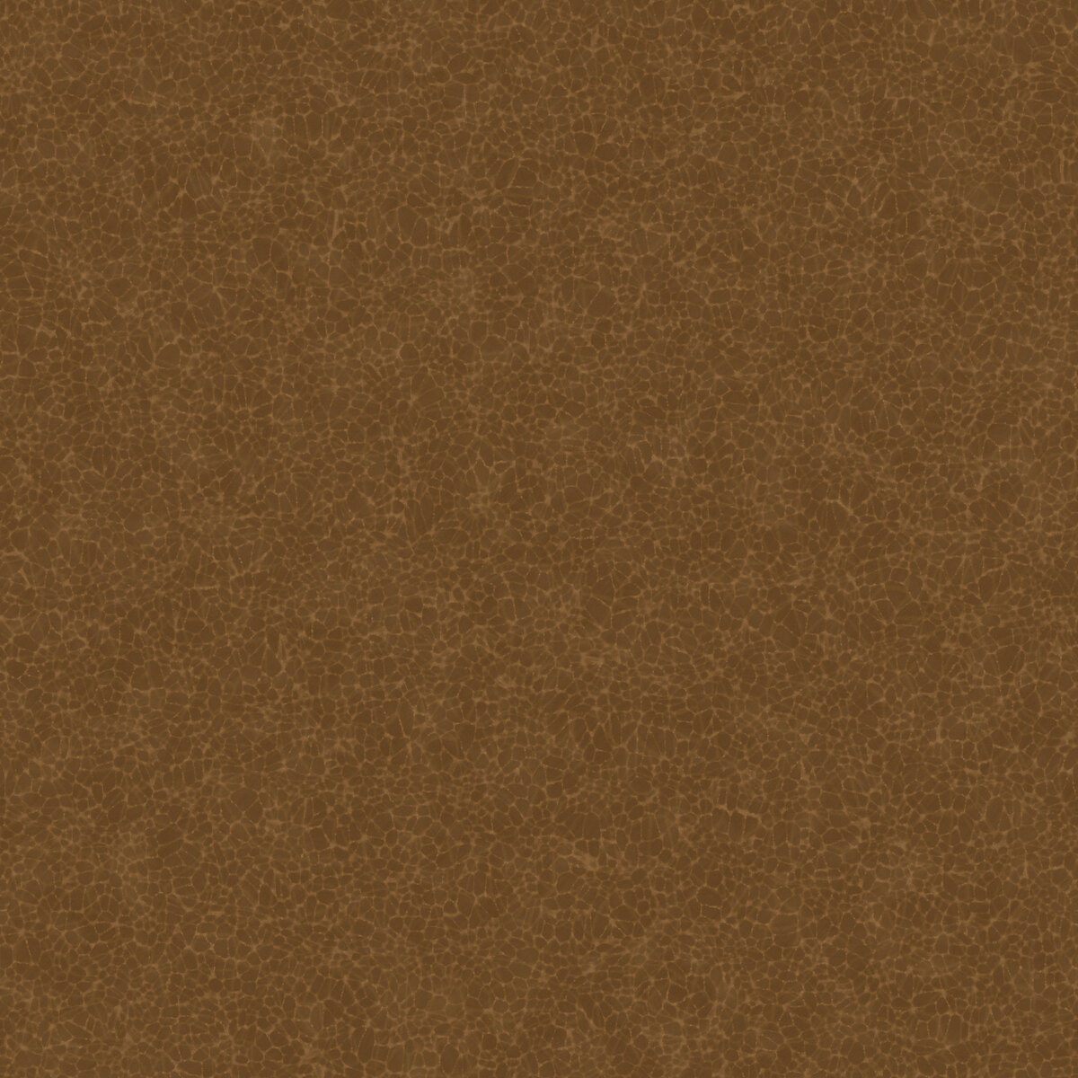 Leather 023 Texture