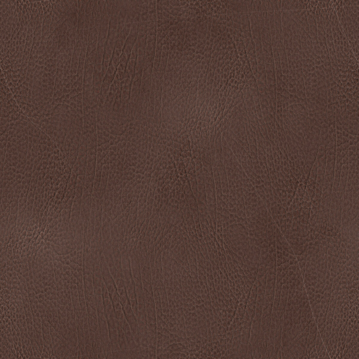 Leather 028 Texture