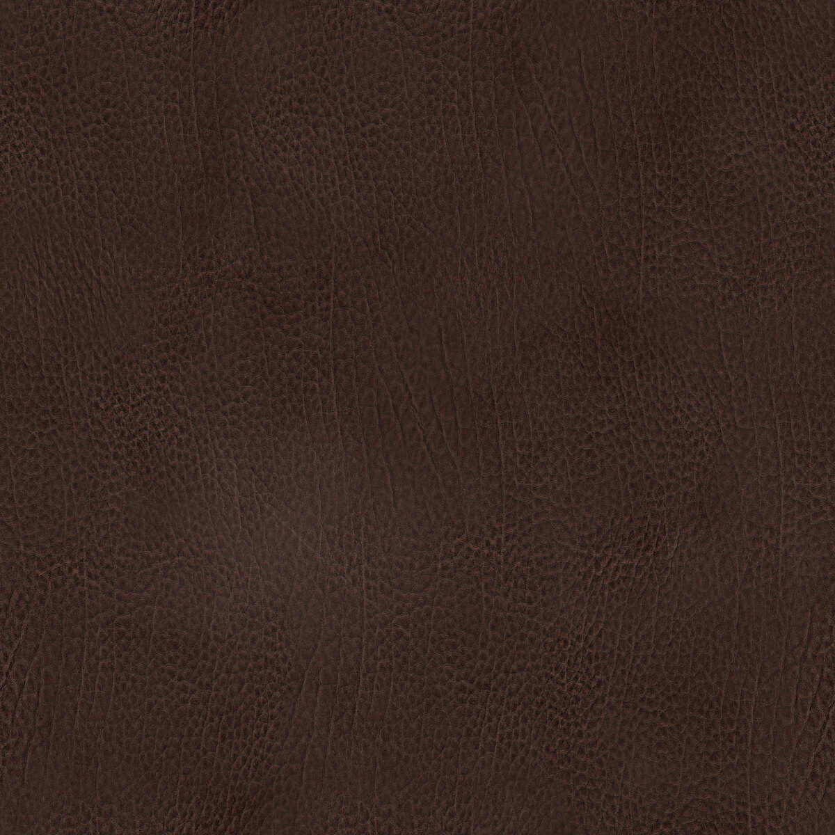 Leather 030 Texture