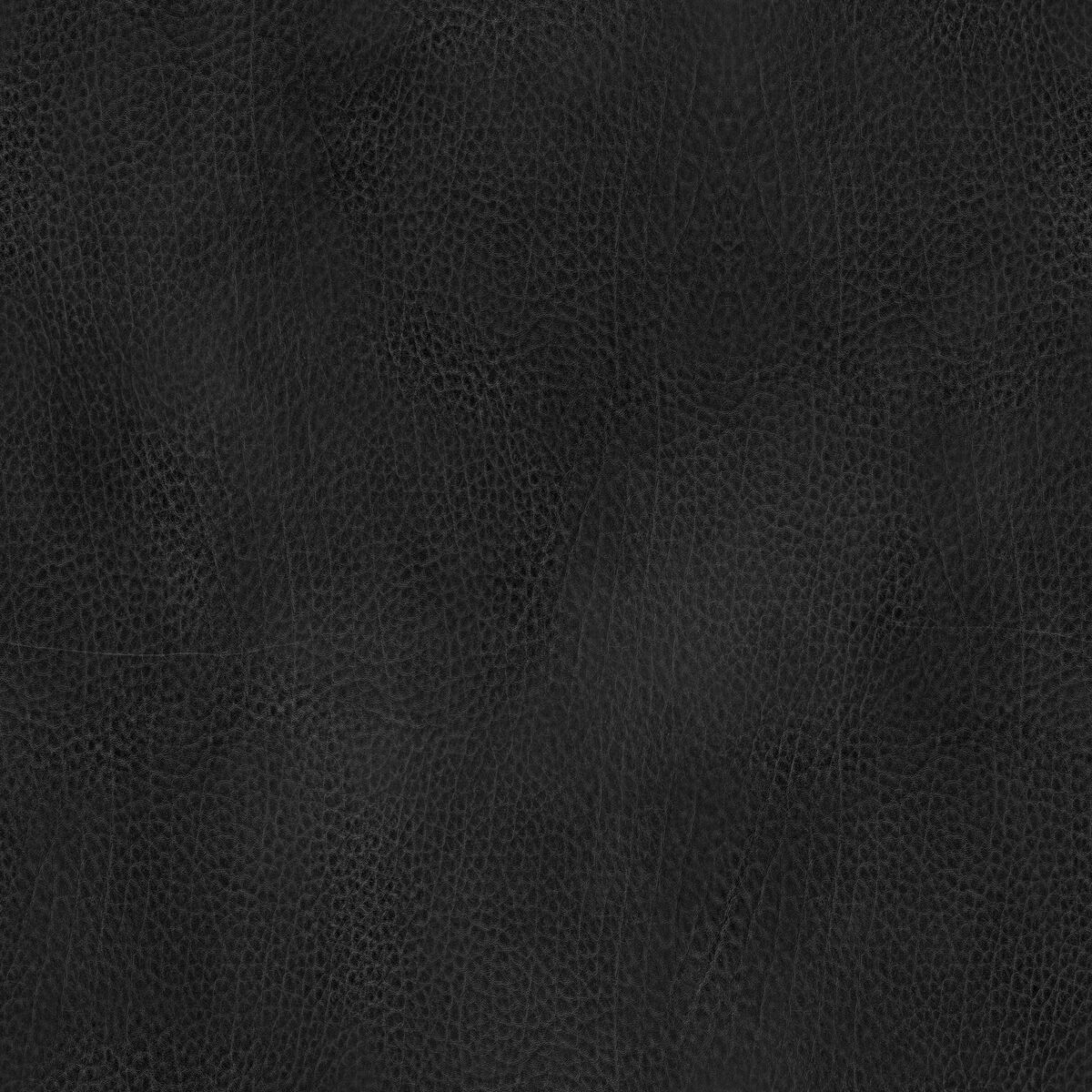 Leather 031 Texture