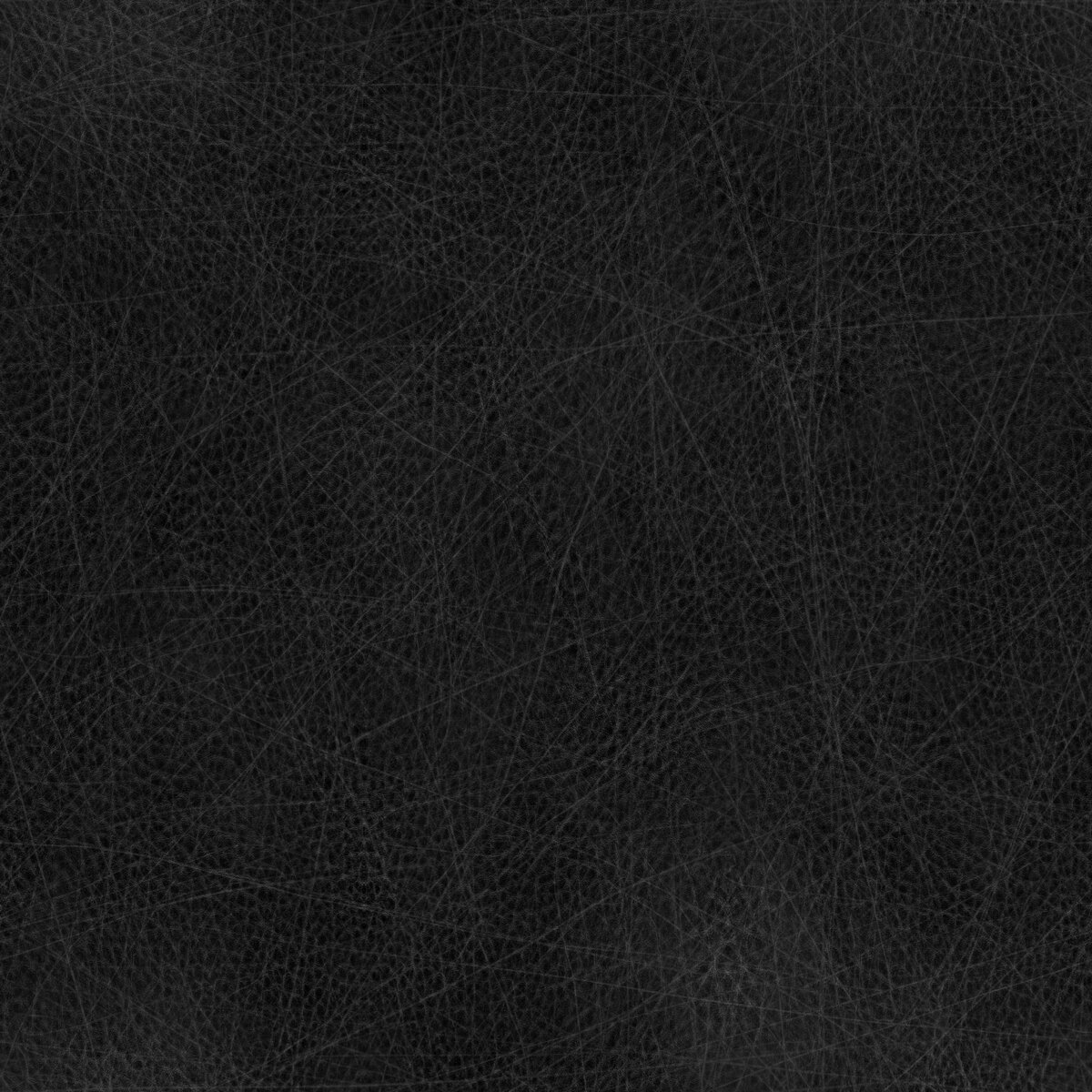 Leather 032 Texture