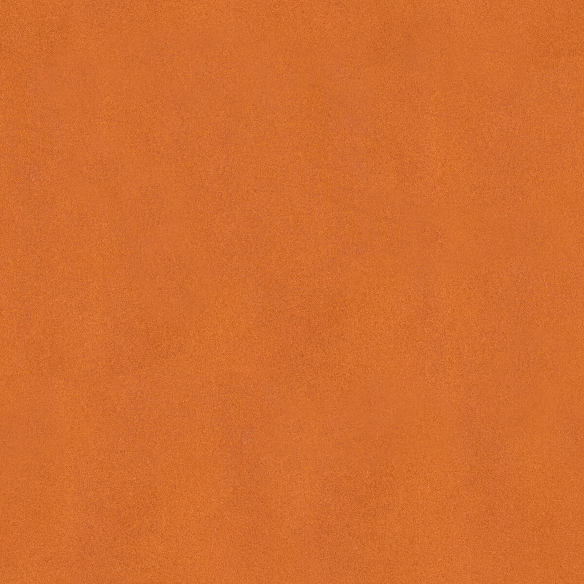 Leather 038 Texture