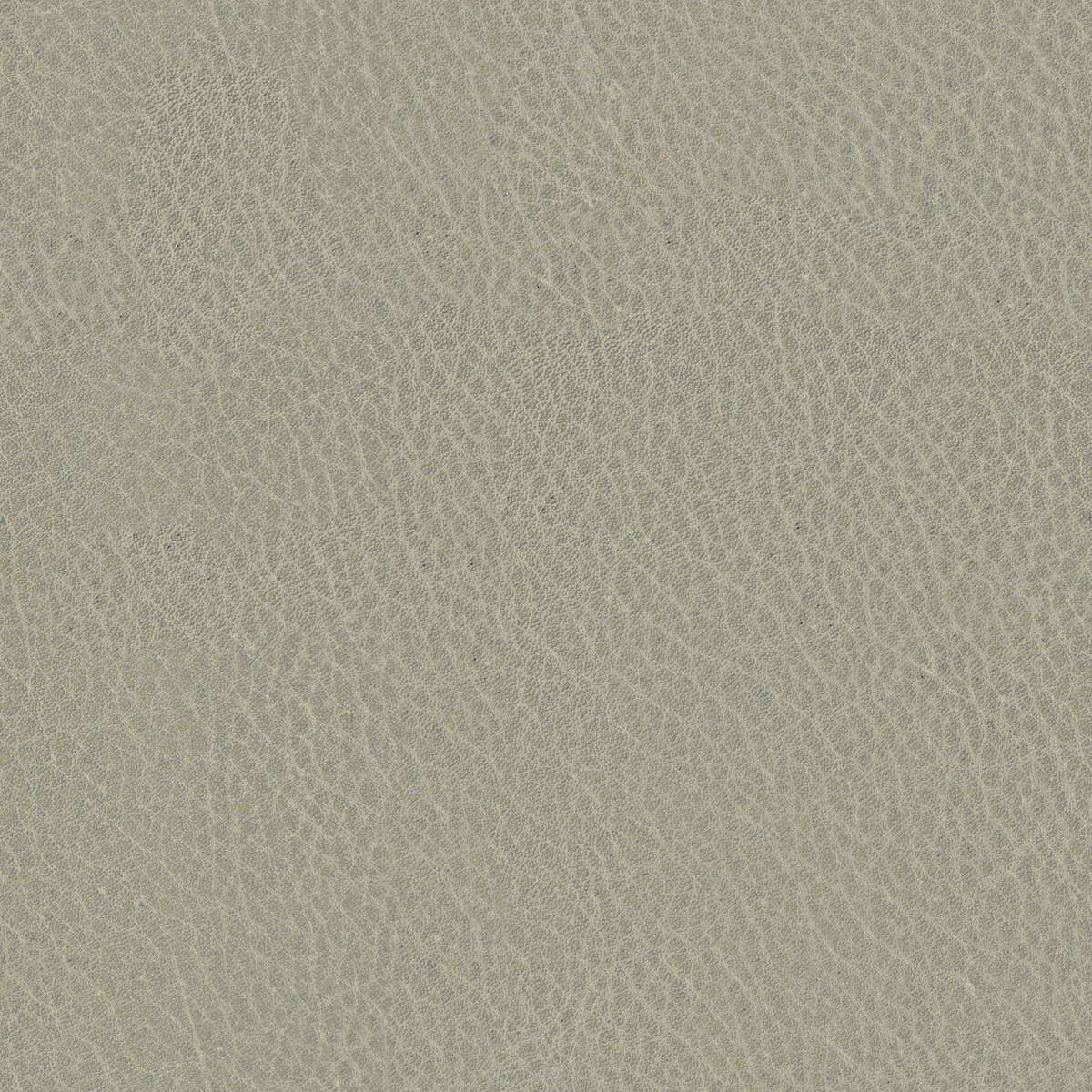 Leather Red 02 Texture