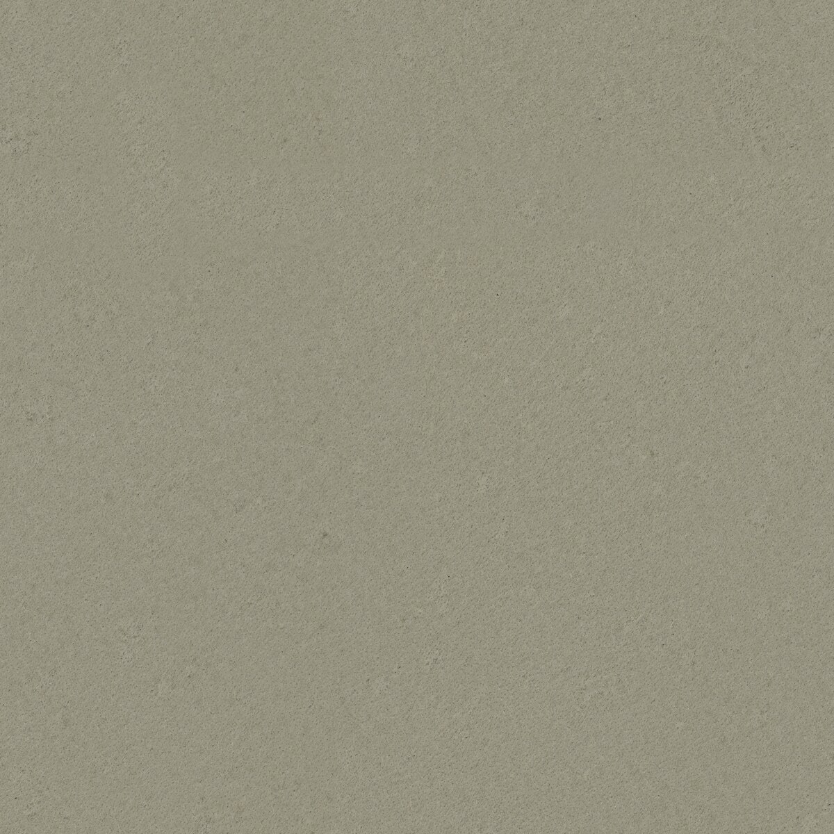 Leather White Texture