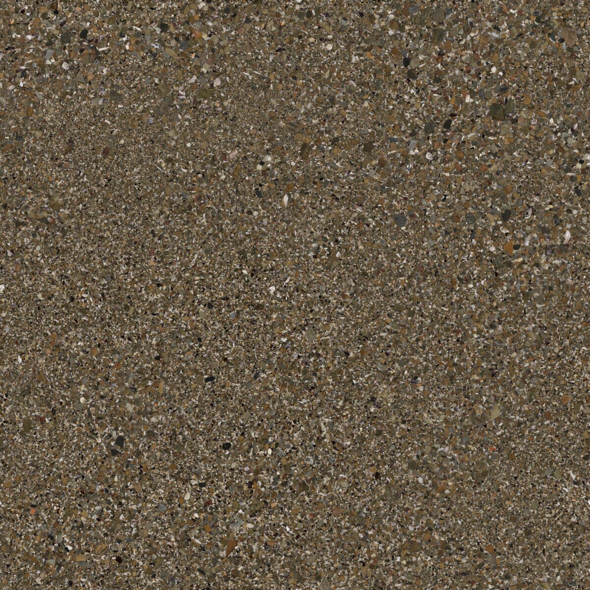 Low Tide Rocks Texture
