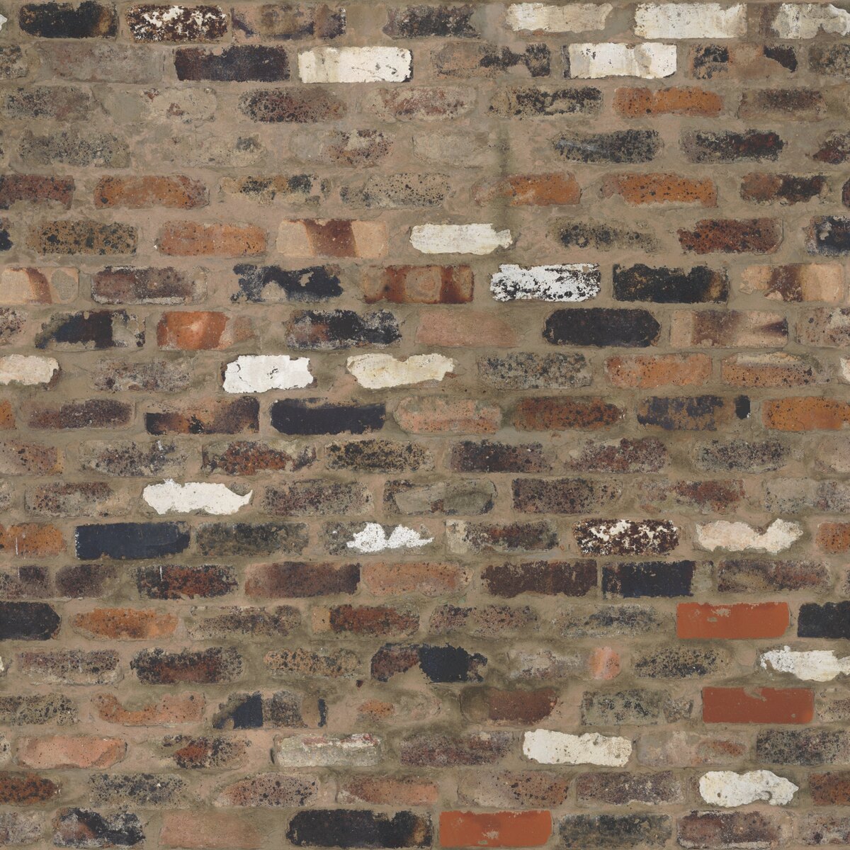 Mixed Brick Wall Texture