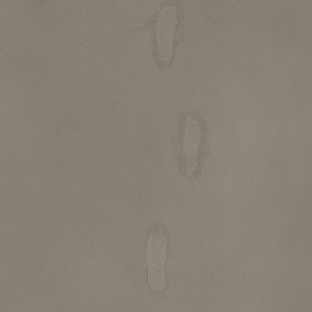 Moon Footprints 02 Texture