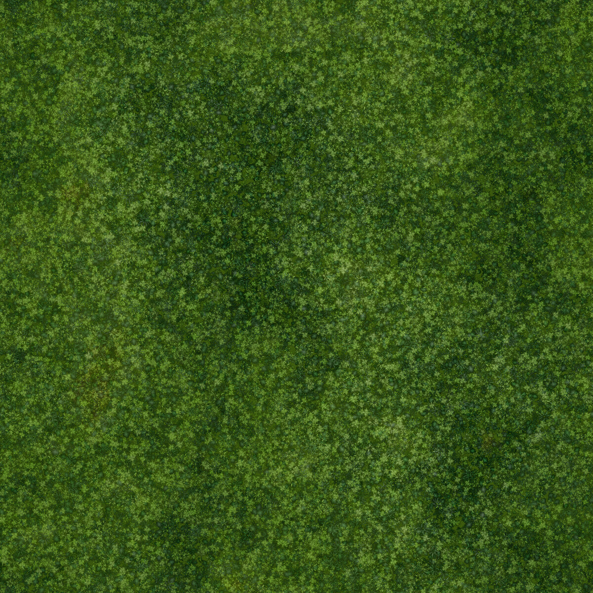 Moss 003 Texture