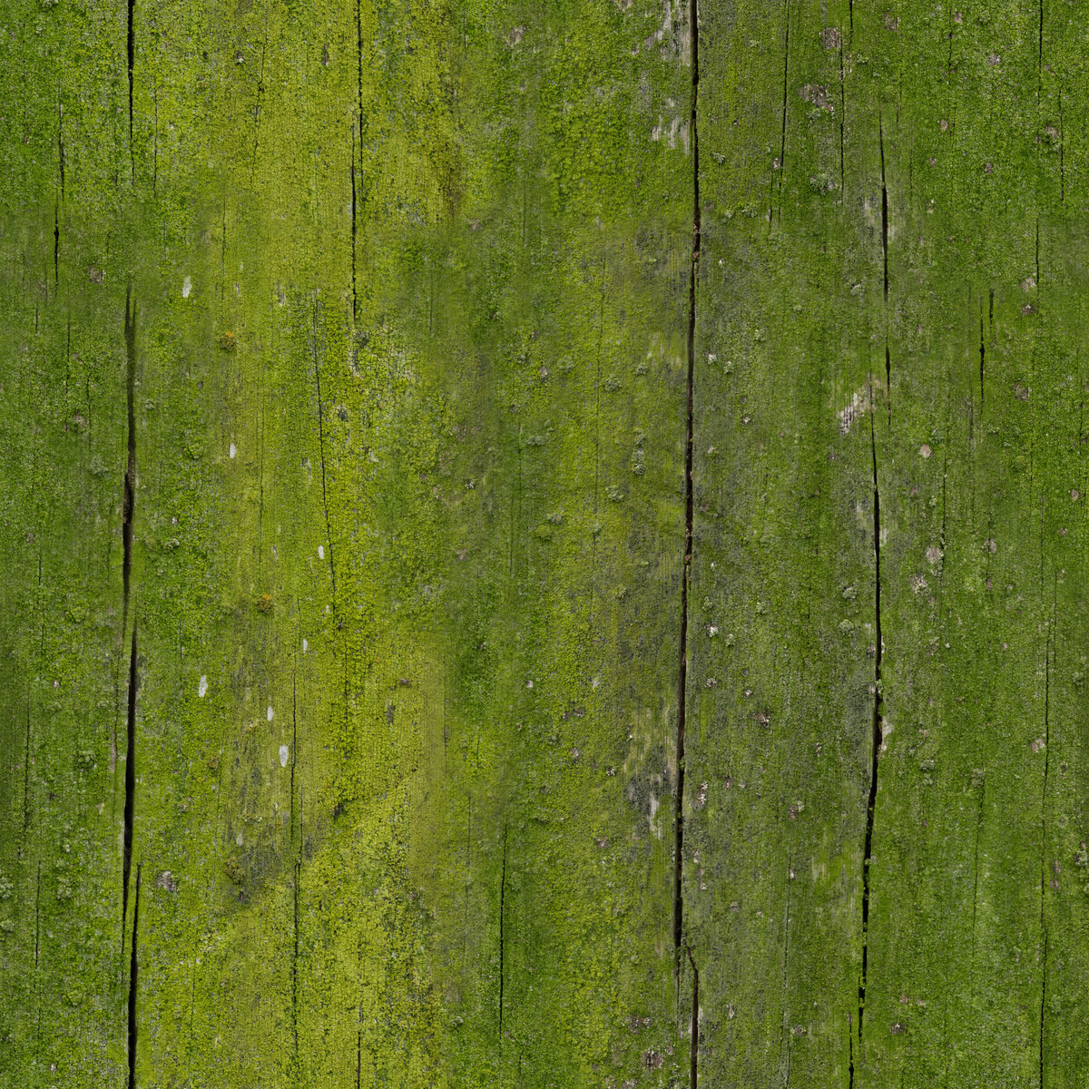 Moss Wood Texture