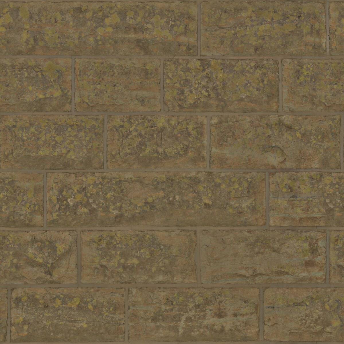 Mossy Sandstone Texture