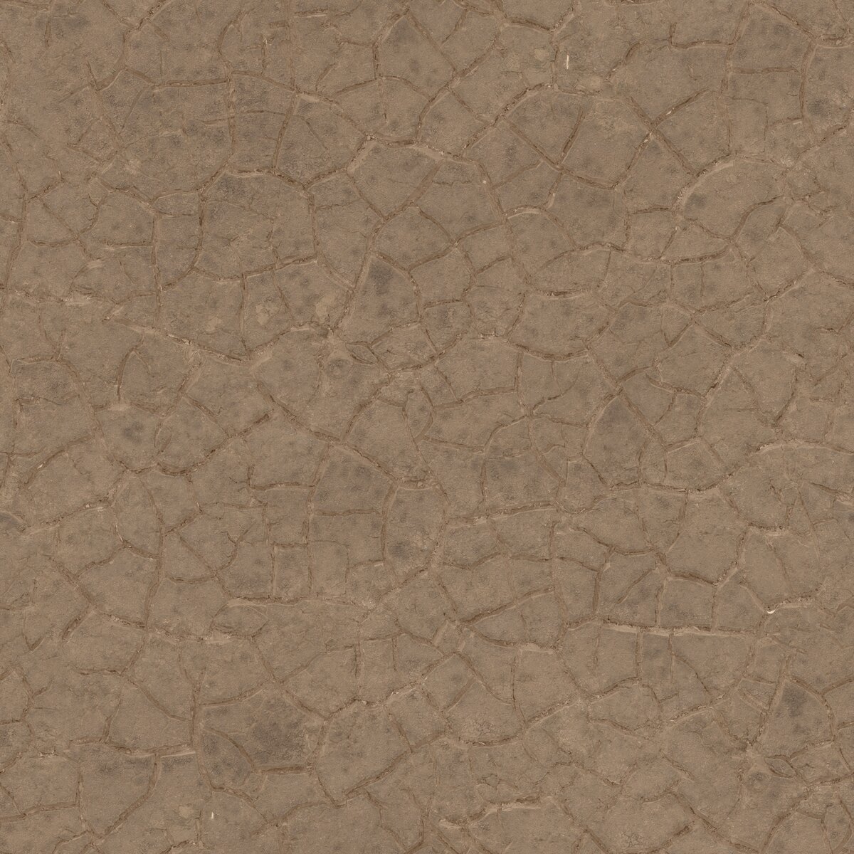 Mud Cracked Dry Riverbed 002 Texture