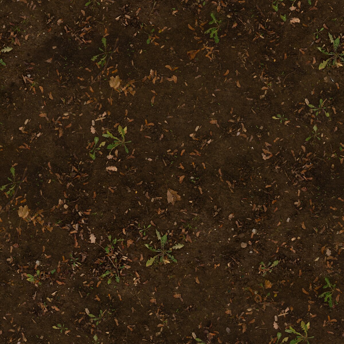 Mud Forest Texture