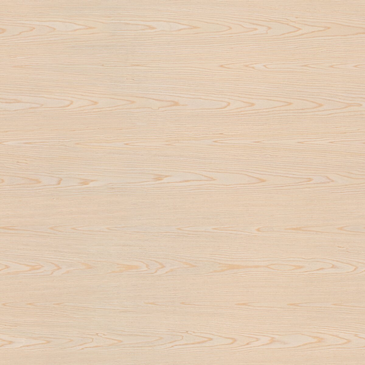 Oak Veneer 03 Texture