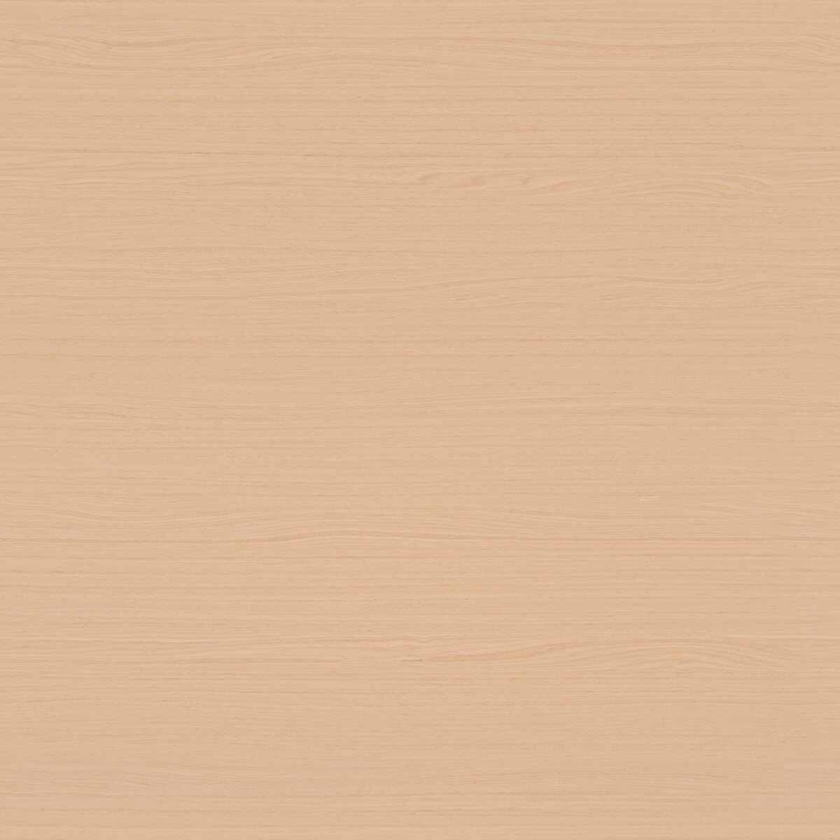 Oak Veneer 04 Texture