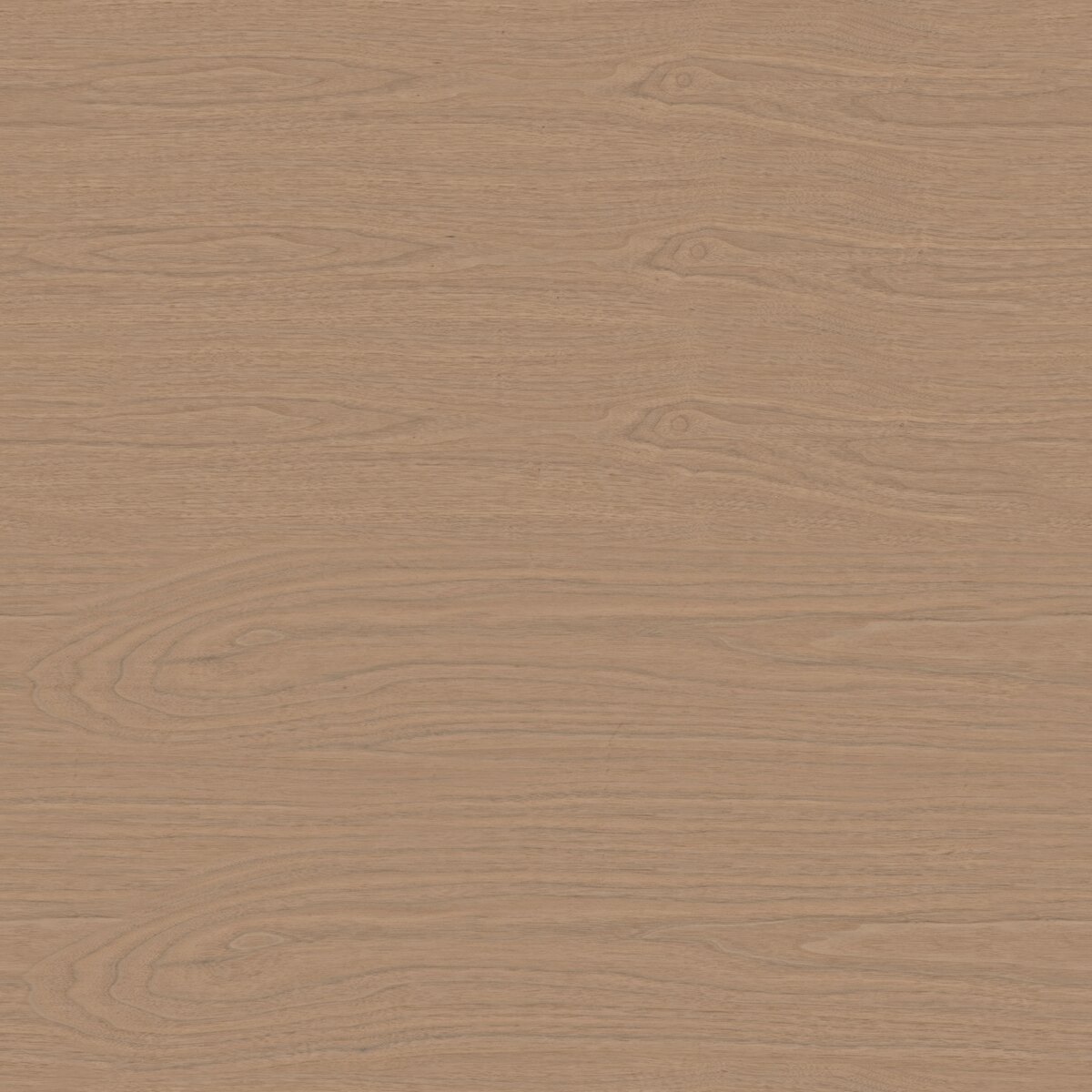 Oak Veneer 05 Texture