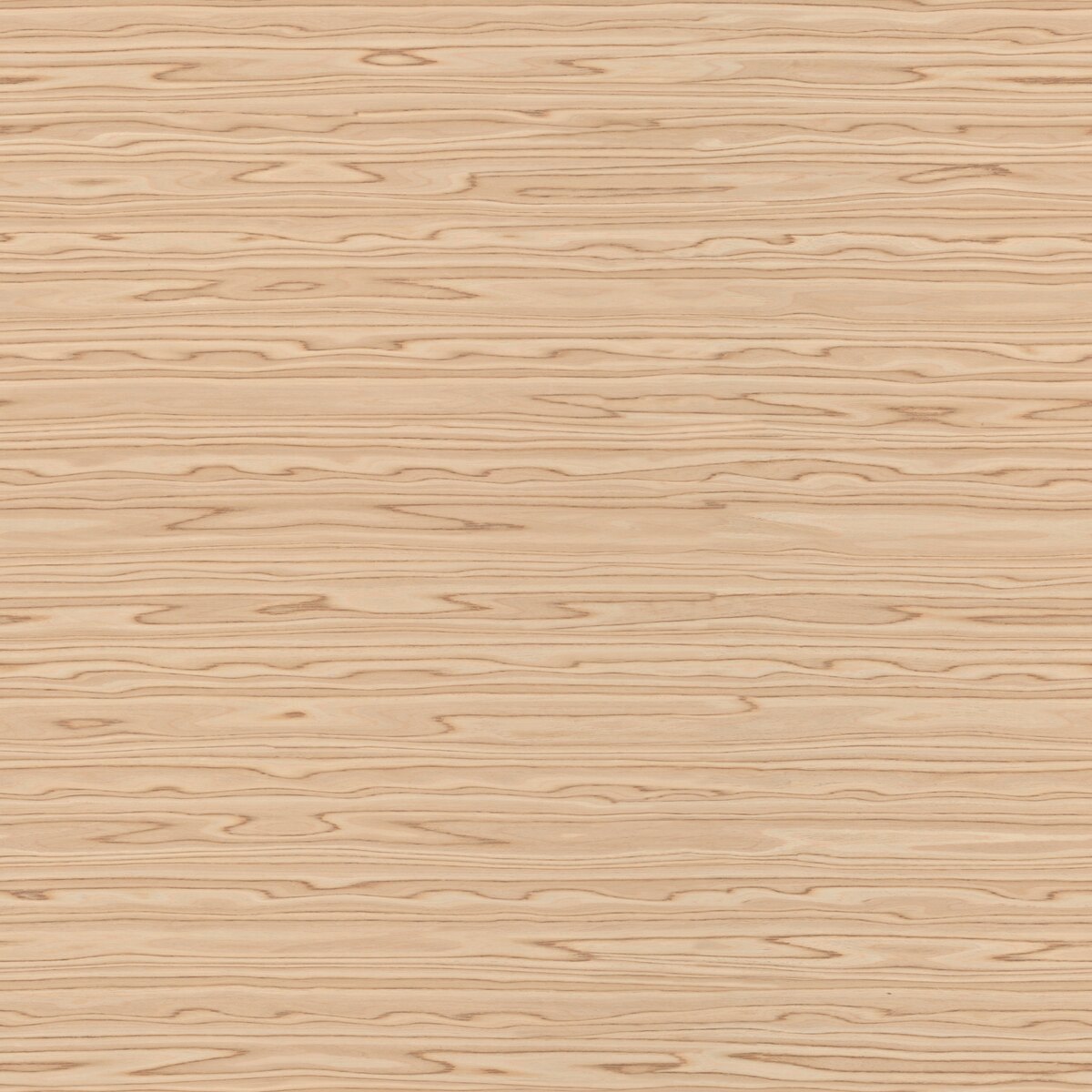 Olive Veneer Texture