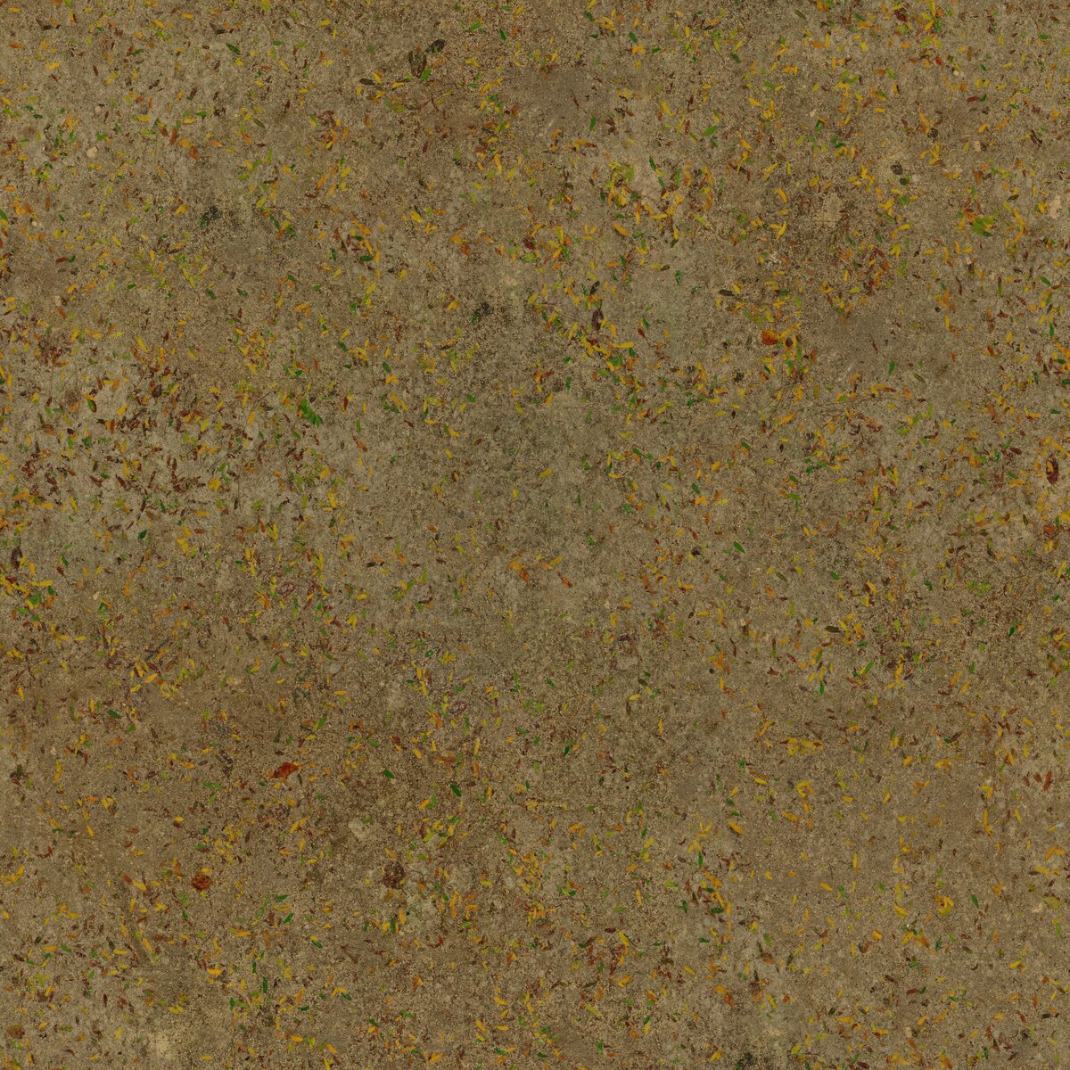 Park Dirt Texture
