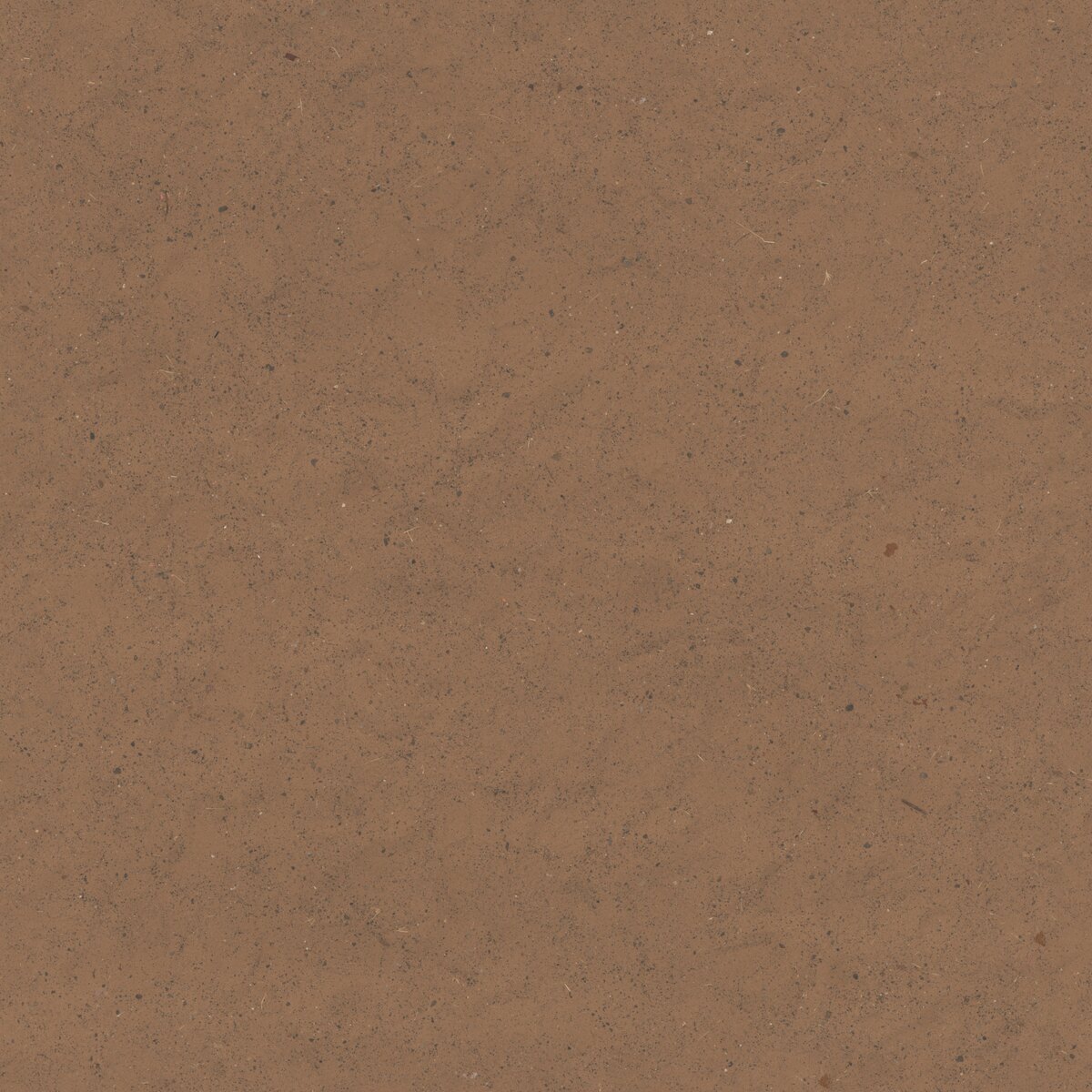 Park Sand Texture