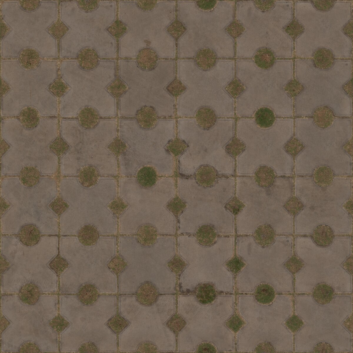 Patterned Concrete Pavers 03 Texture