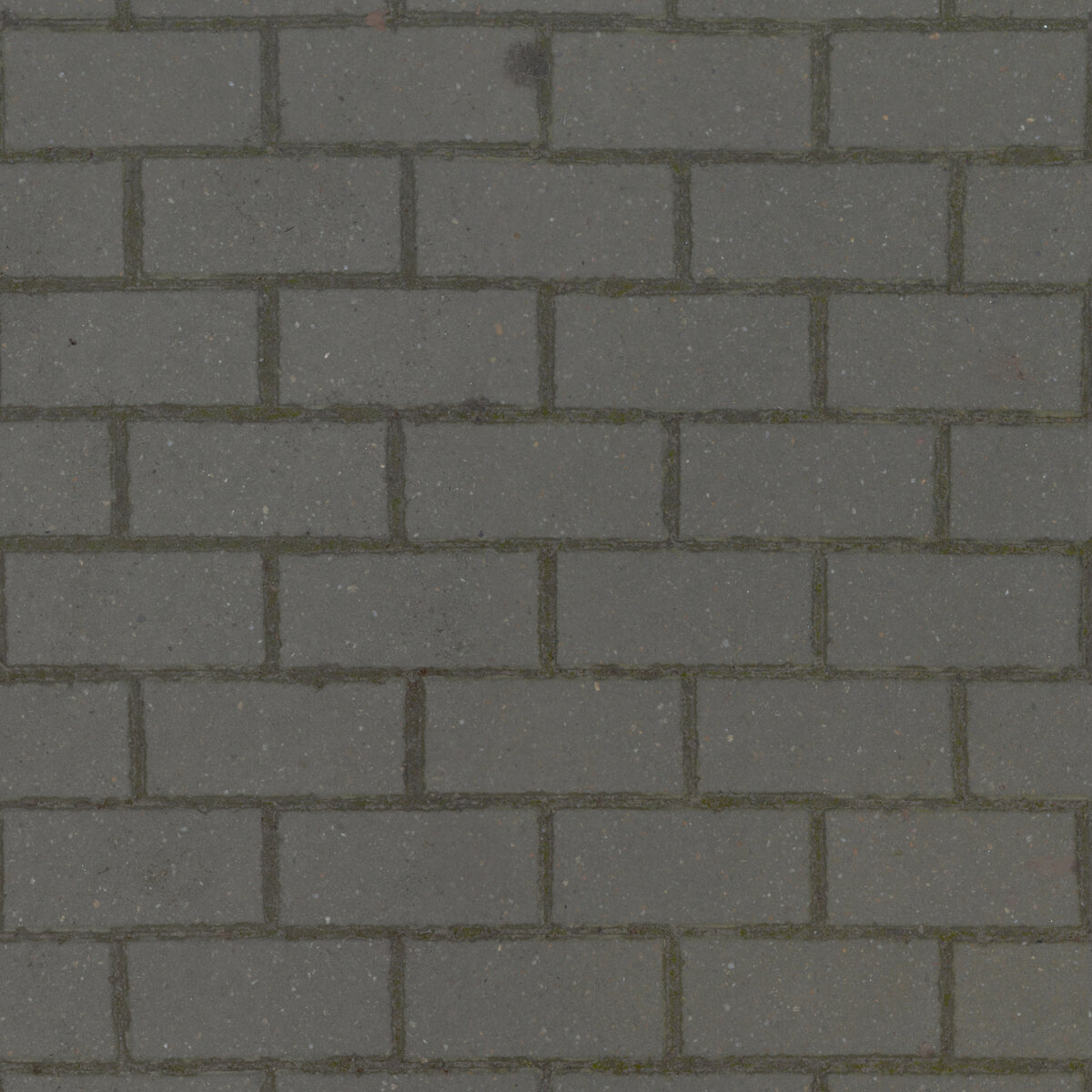 Paving Stones 004 Texture