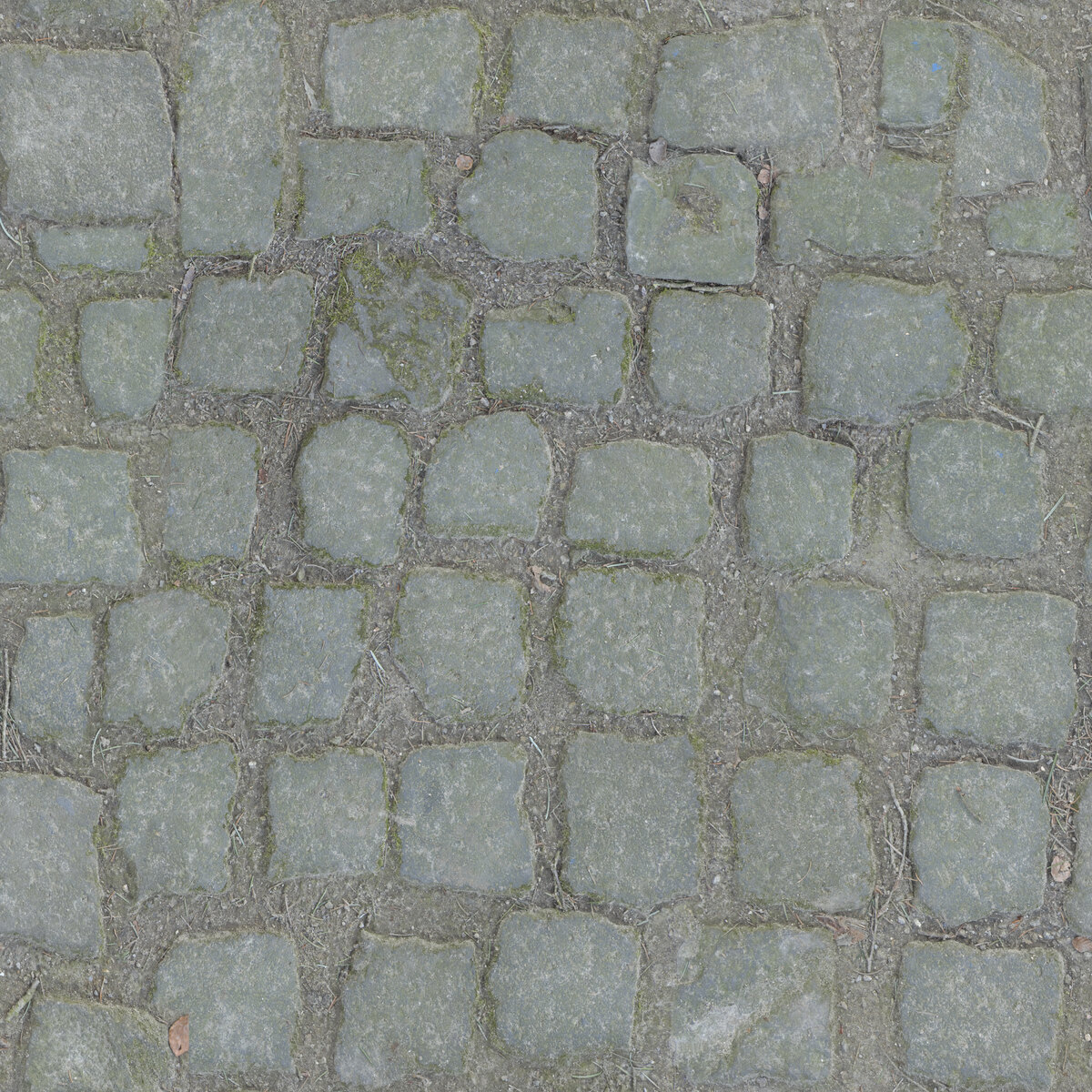 Paving Stones 005 Texture