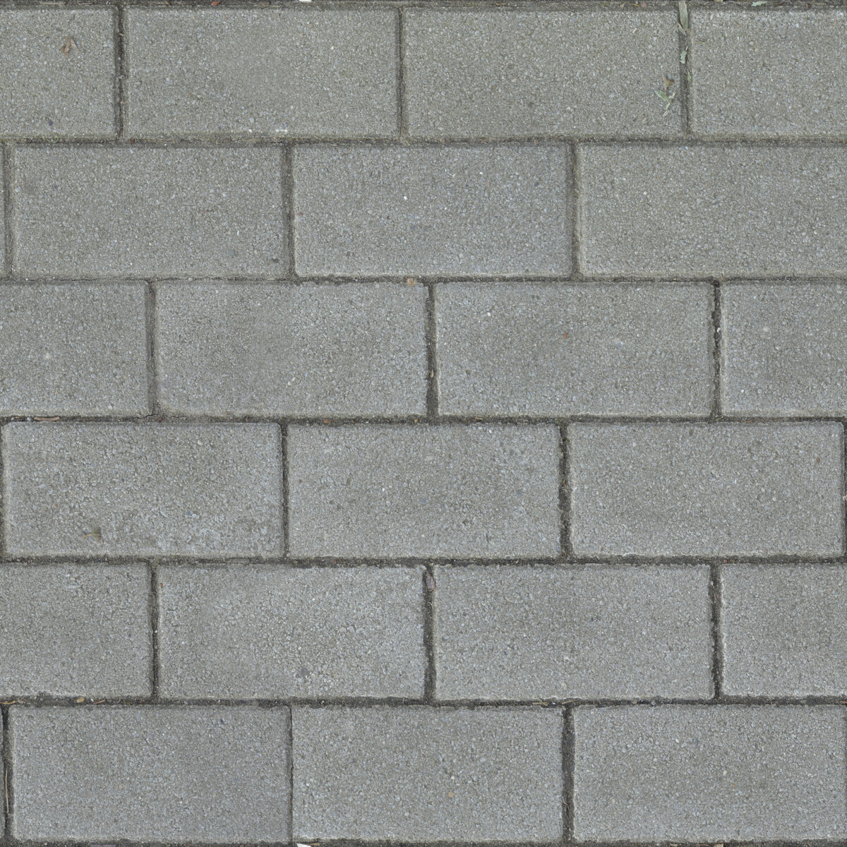 Paving Stones 006 Texture