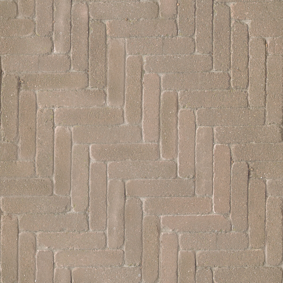 Paving Stones 008 Texture