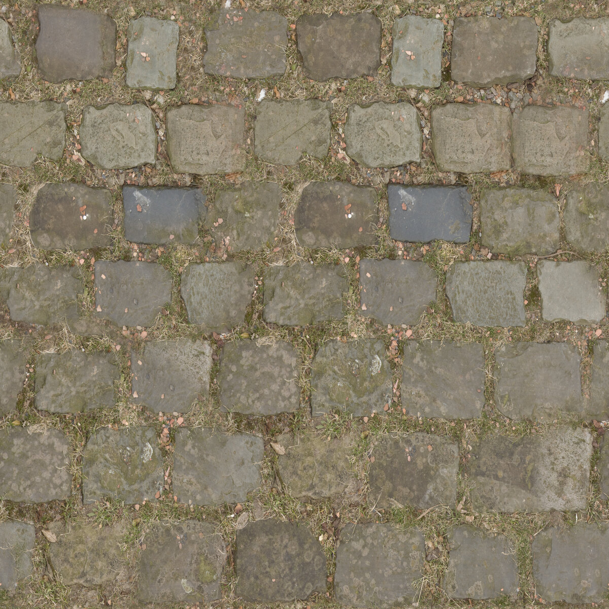 Paving Stones 009 Texture