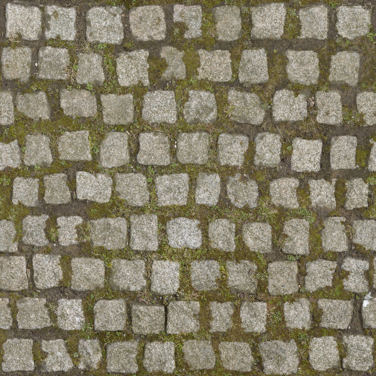 Paving Stones 010 Texture