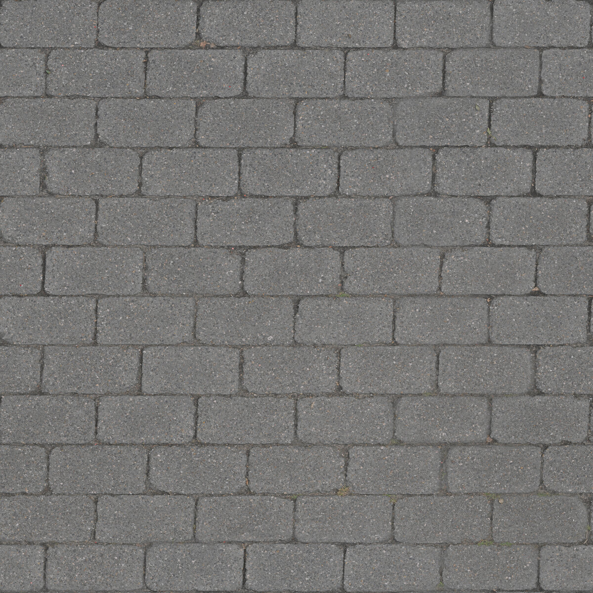 Paving Stones 024 Texture