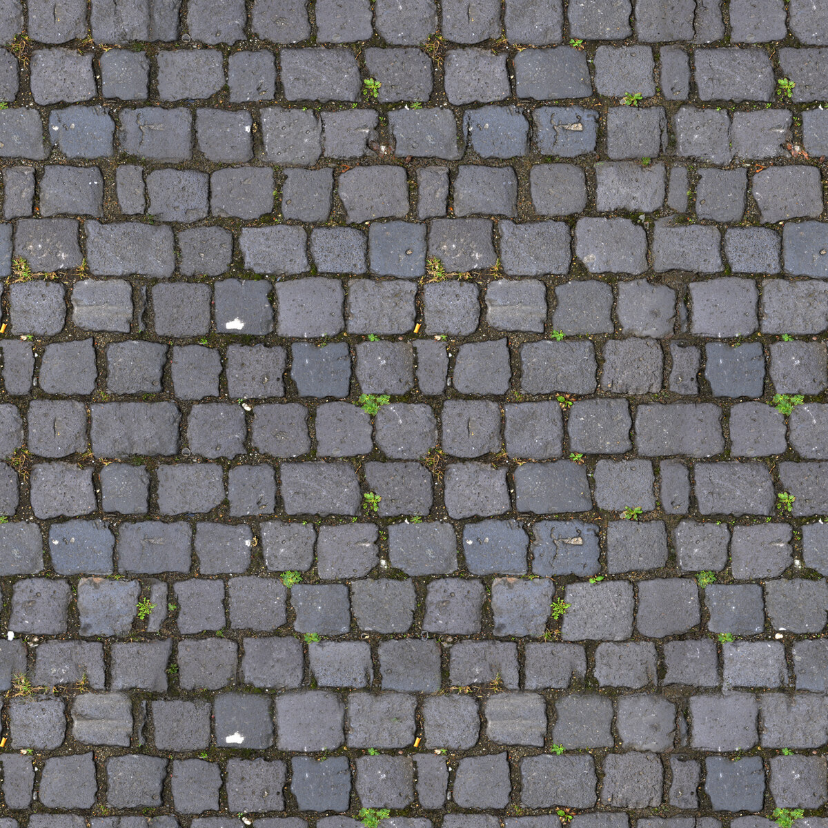 Paving Stones 033 Texture