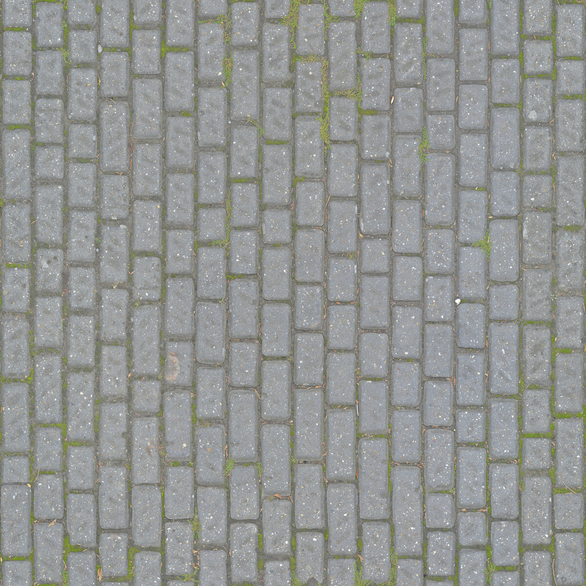 Paving Stones 034 Texture