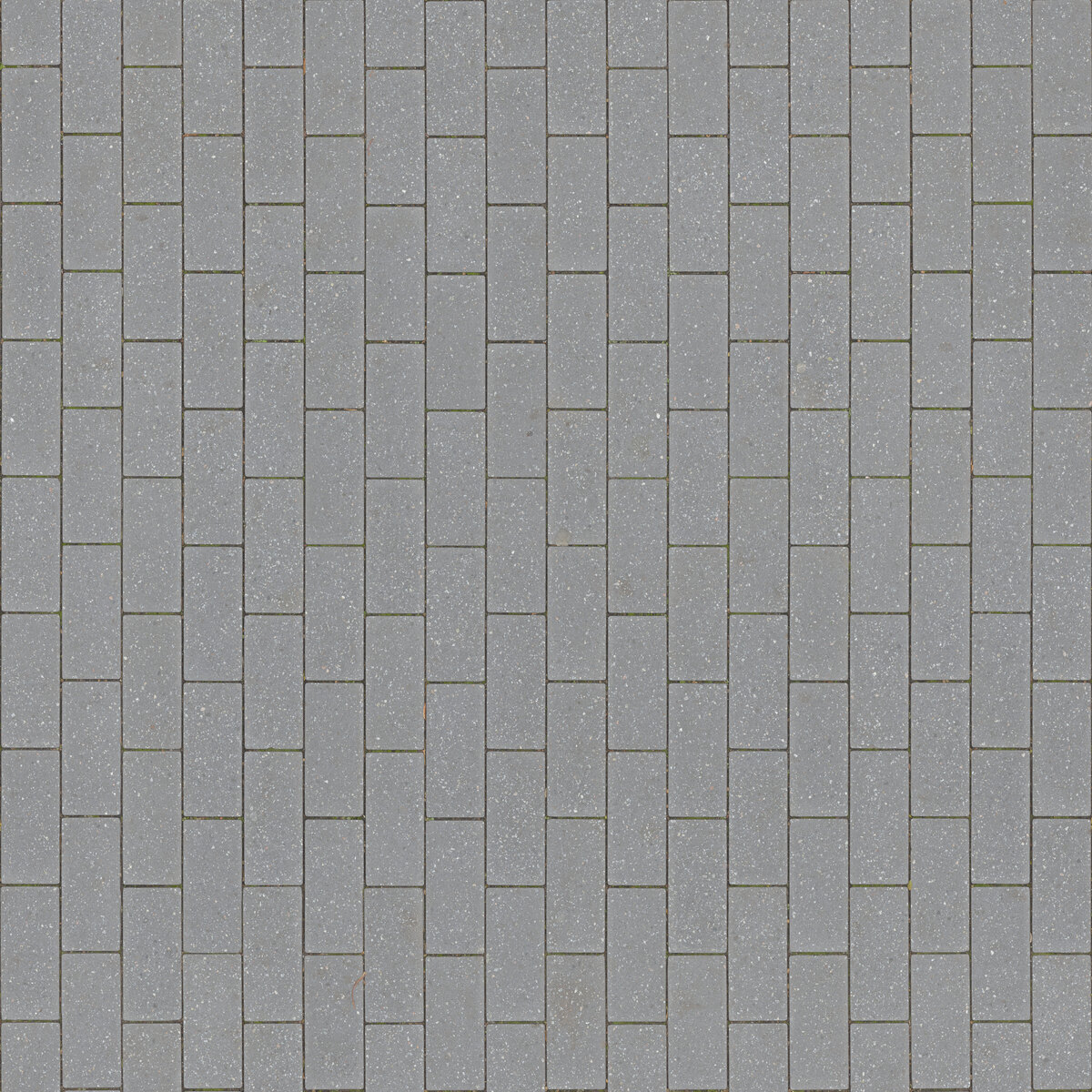 Paving Stones 035 Texture