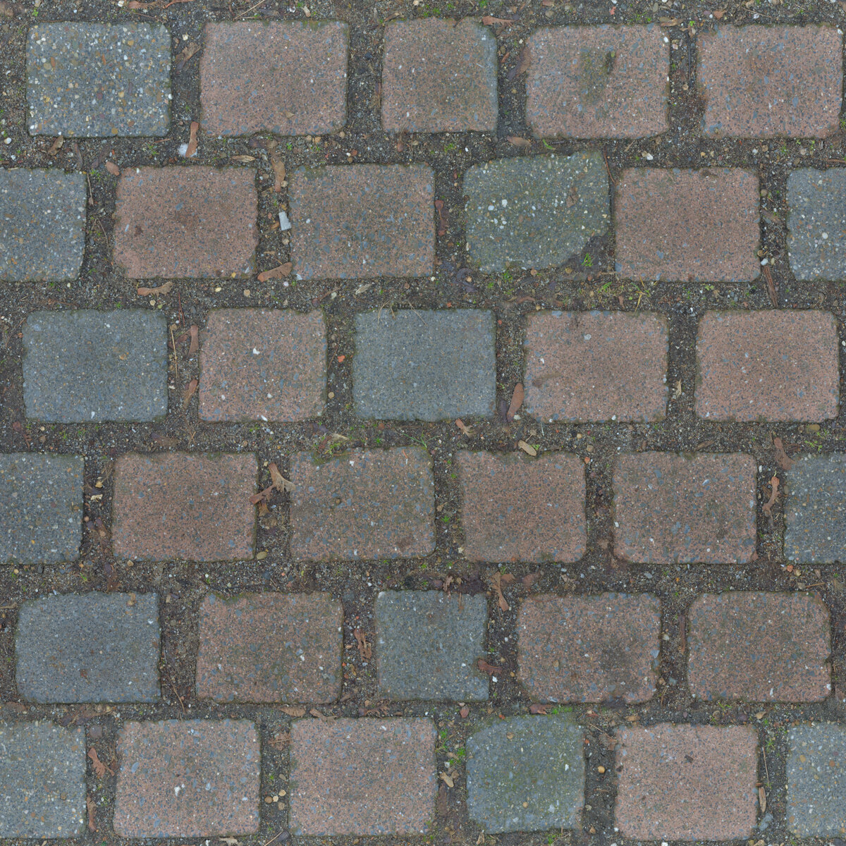 Paving Stones 039 Texture
