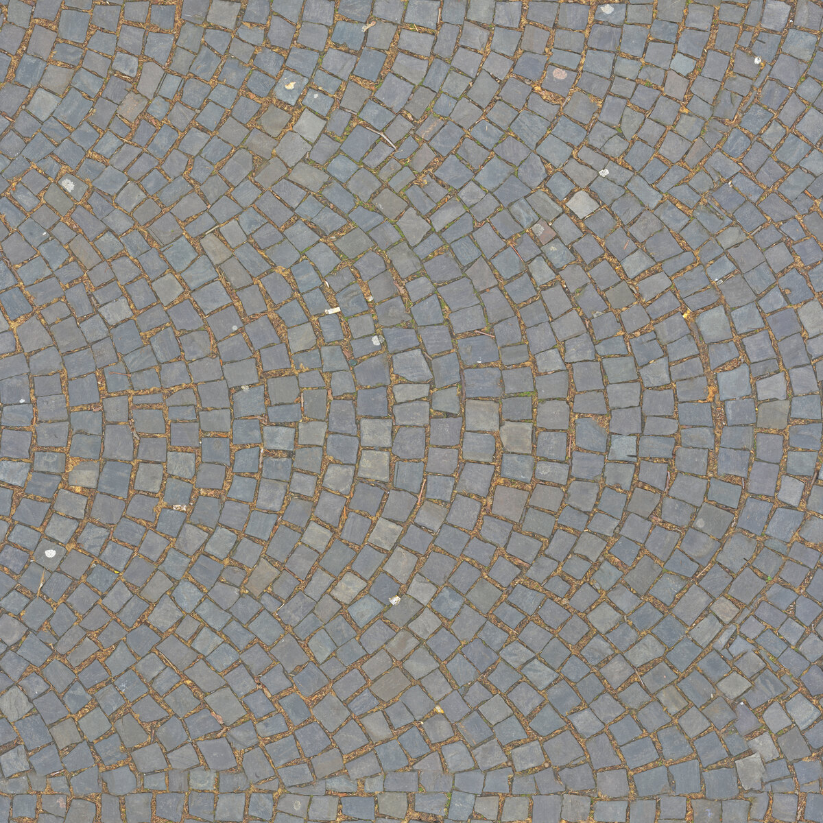 Paving Stones 041 Texture