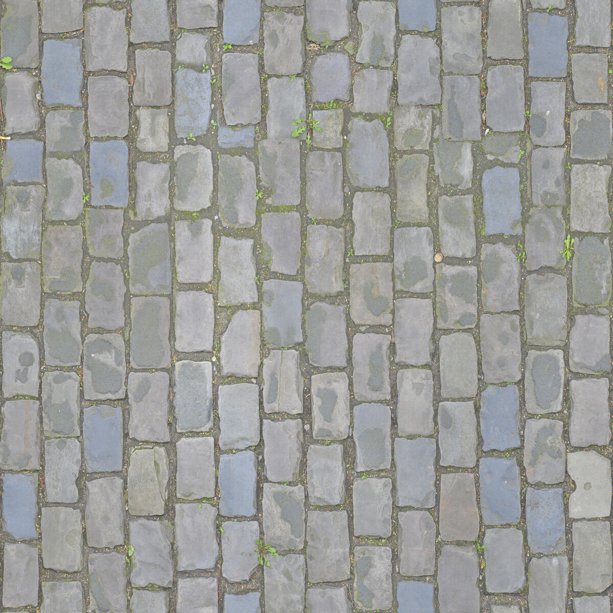 Paving Stones 042 Texture