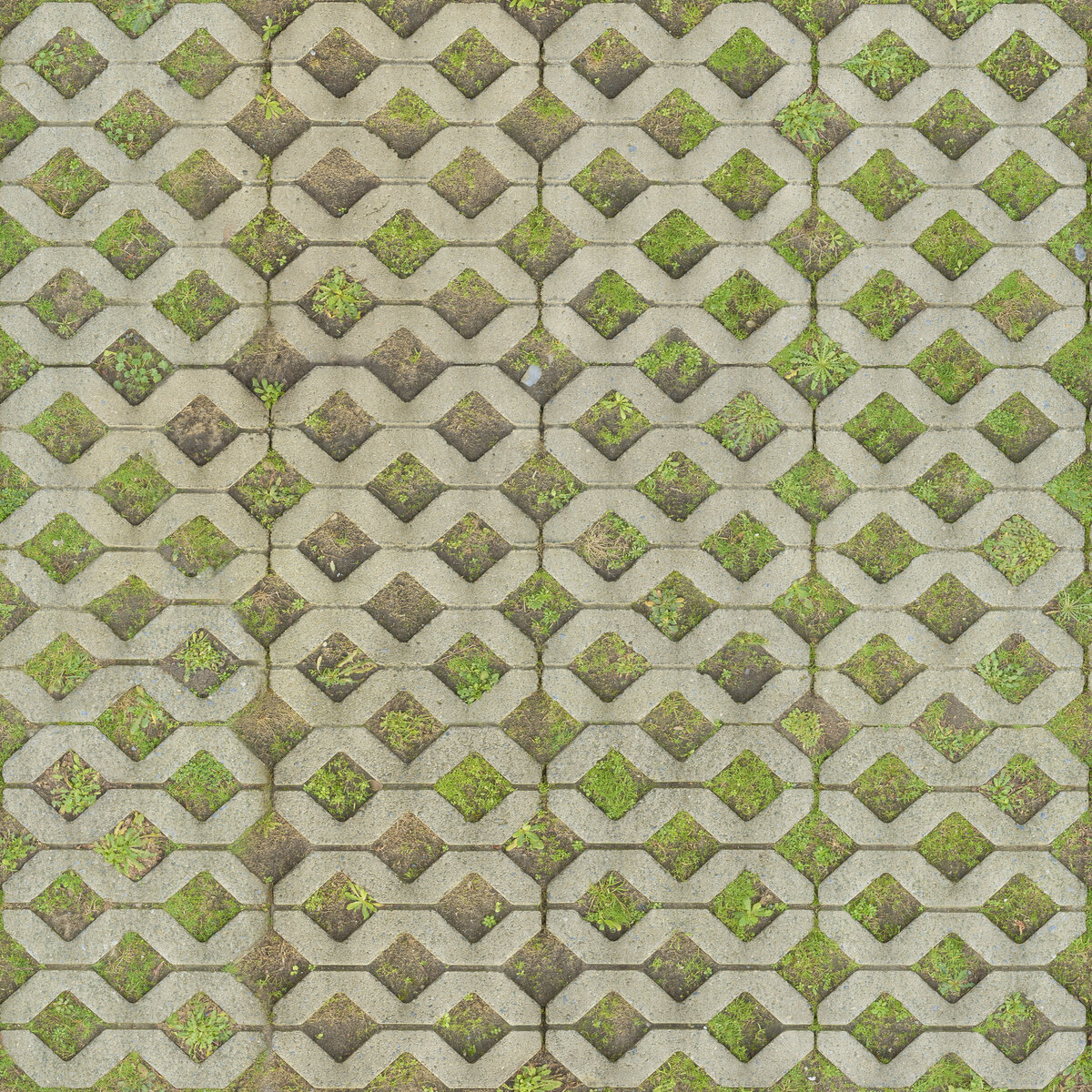 Paving Stones 053 Texture