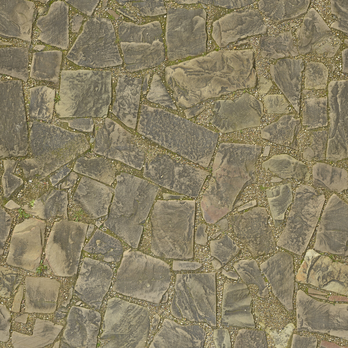 Paving Stones 054 Texture